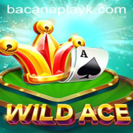 Discovering WildAce: A Thrilling New Adventure with Betpix365